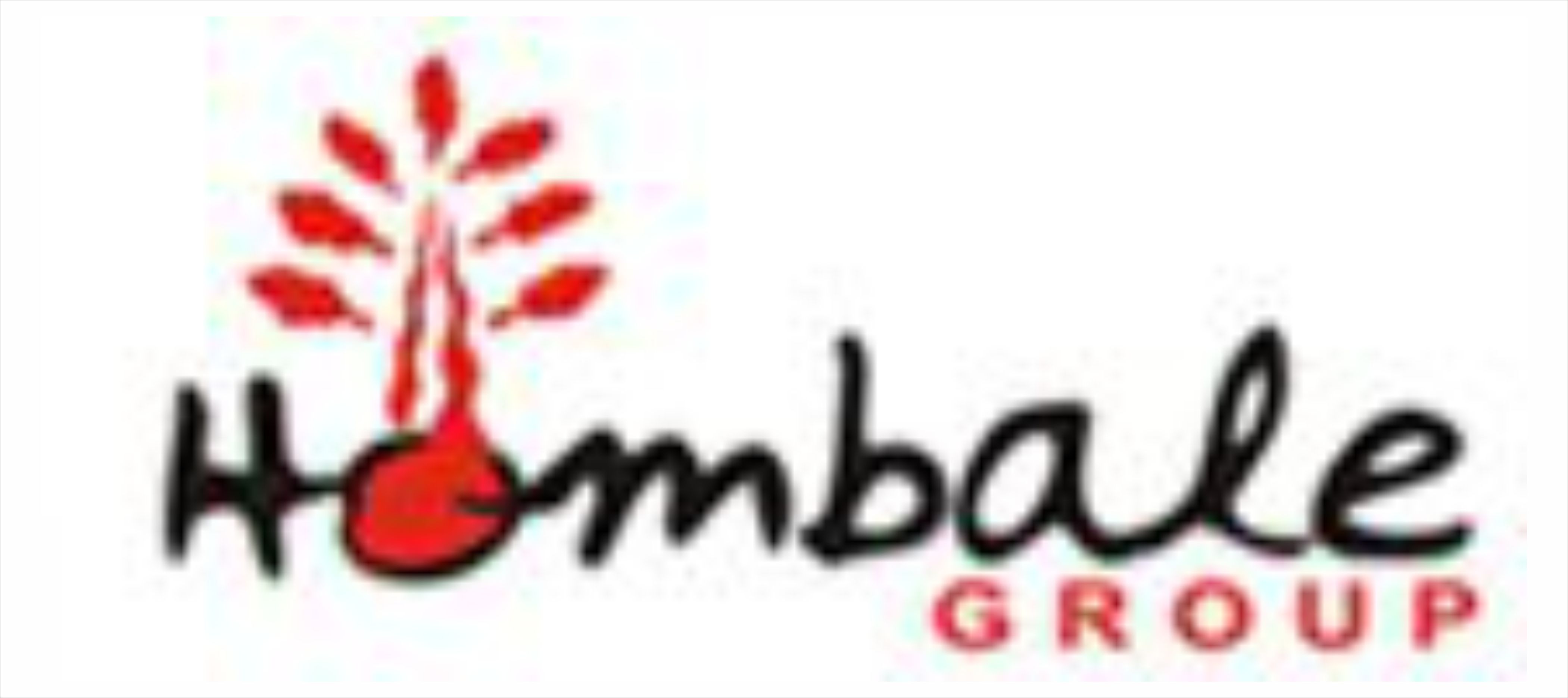 Homebale Constructions